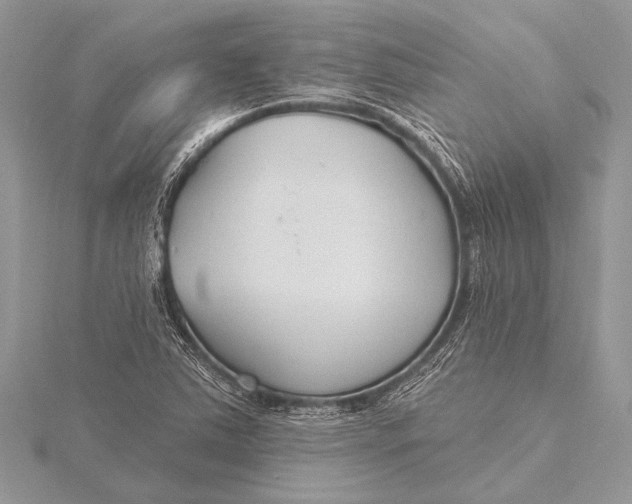 X0000115771363200912041423