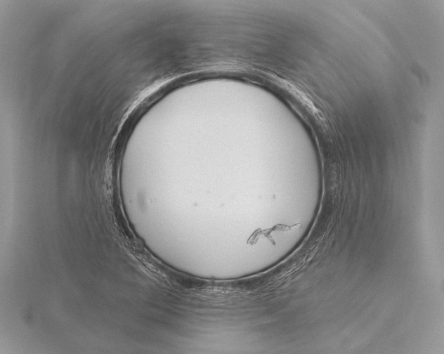 X0000115771364200912041423