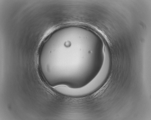 X0000115771365200912041423