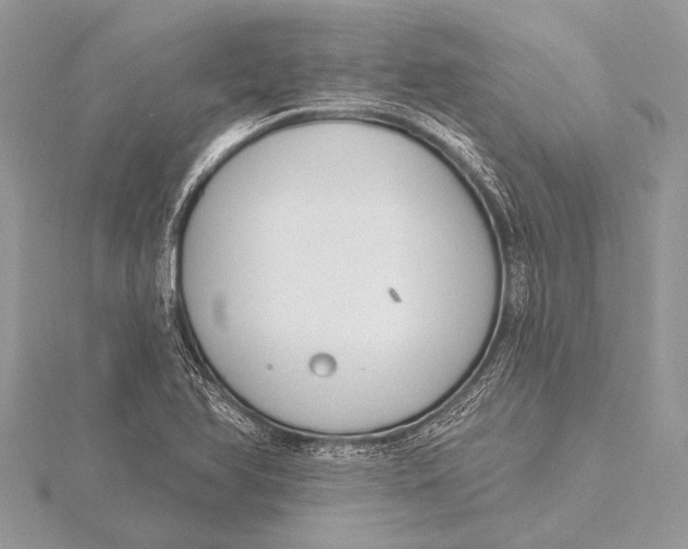 X0000115771366200912041423