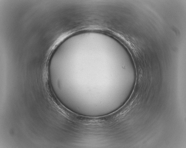 X0000115771367200912041423