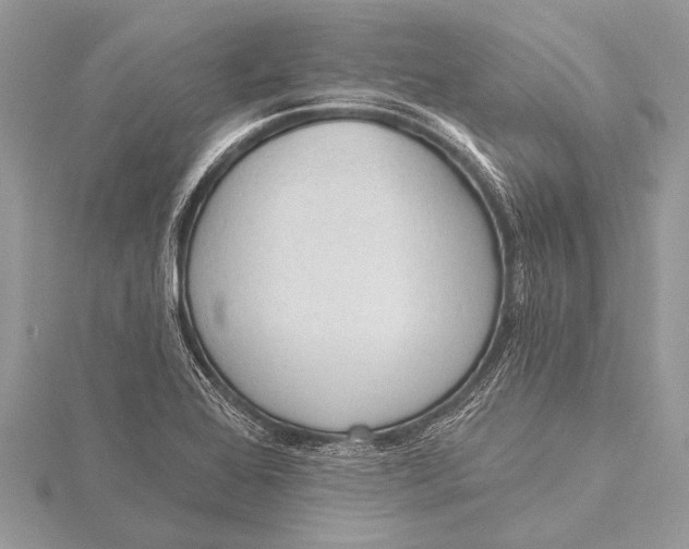 X0000115771368200912041423