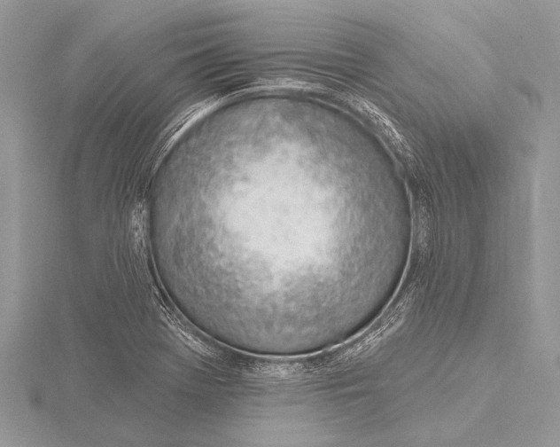 X0000115771369200912041423