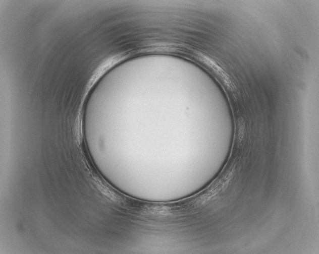 X0000115771370200912041423