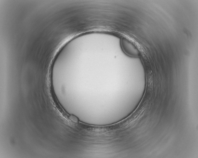 X0000115771375200912041422