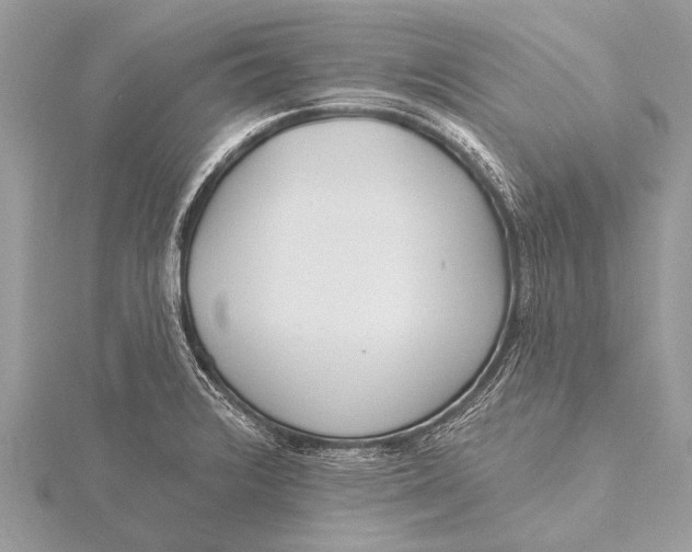 X0000115771376200912041422