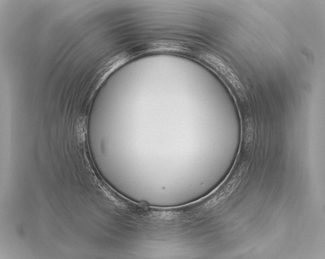 X0000115771377200912041422