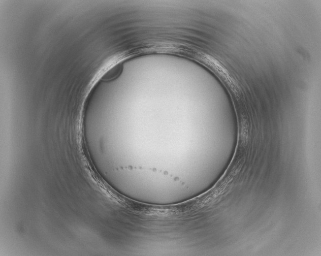 X0000115771378200912041422