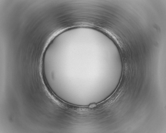 X0000115771379200912041422