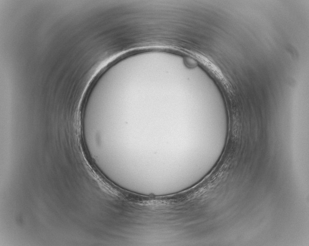 X0000115771380200912041422