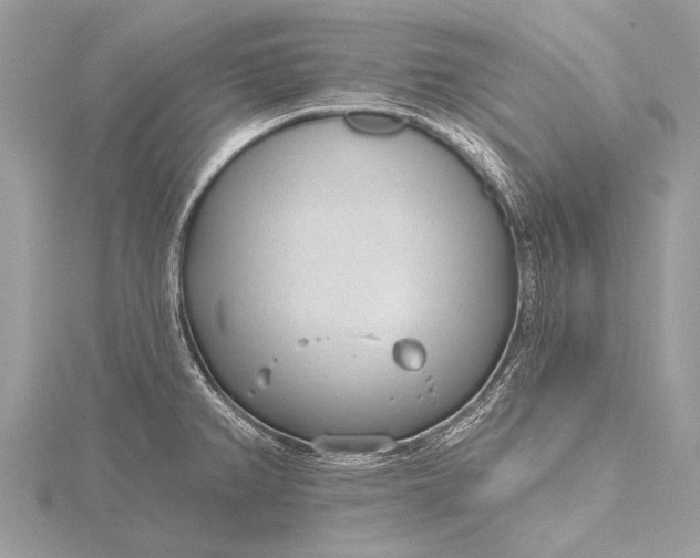 X0000115771382200912041422