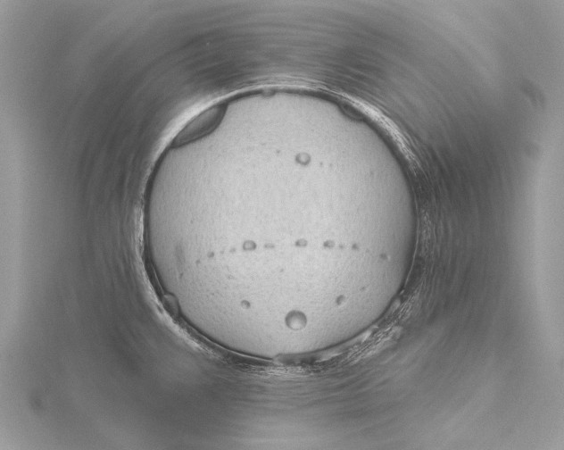 X0000115771383200912041422