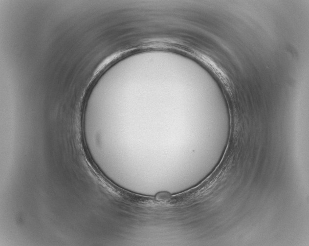 X0000115771384200912041422