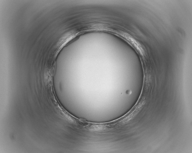 X0000115771385200912041422