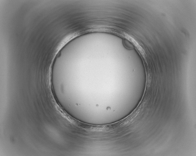 X0000115771386200912041422