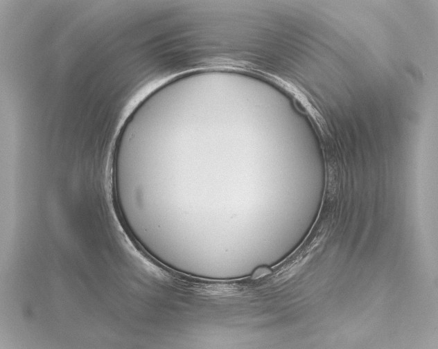 X0000115771387200912041422