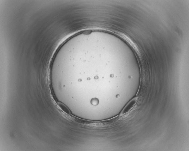 X0000115771388200912041422