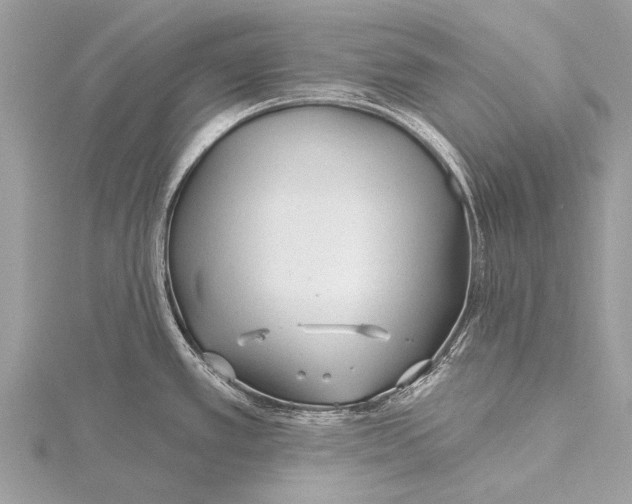 X0000115771389200912041422