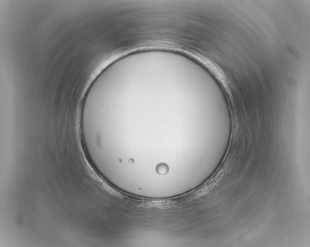 X0000115771390200912041422