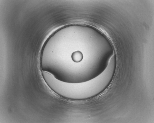 X0000115771392200912041422