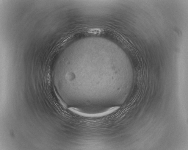 X0000115771394200912041422