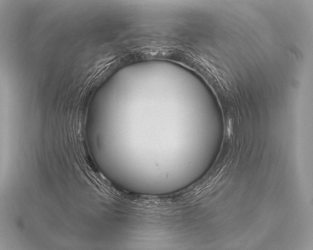 X0000115771396200912041422