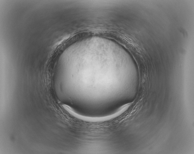 X0000115771398200912041422