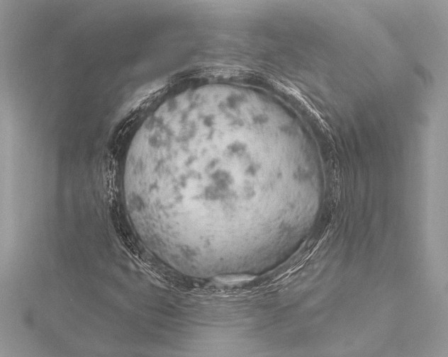 X0000115771399200912041422