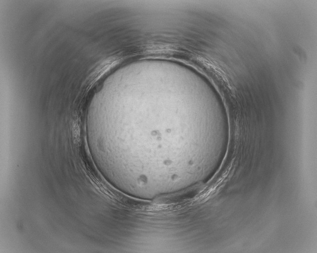 X0000115771401200912041422