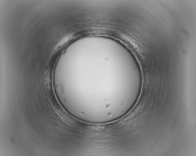 X0000115771403200912041422