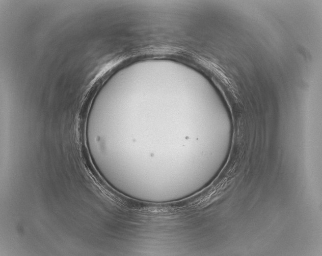 X0000115771404200912041422