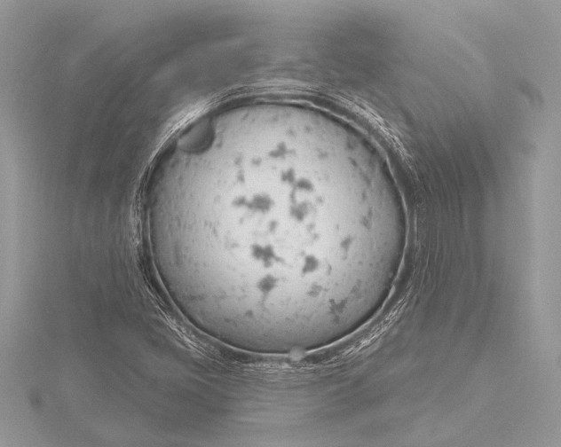 X0000115771405200912041422