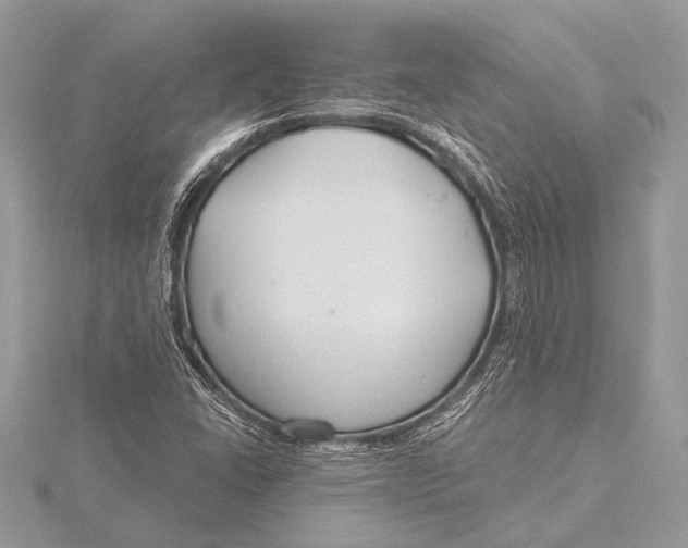 X0000115771406200912041422