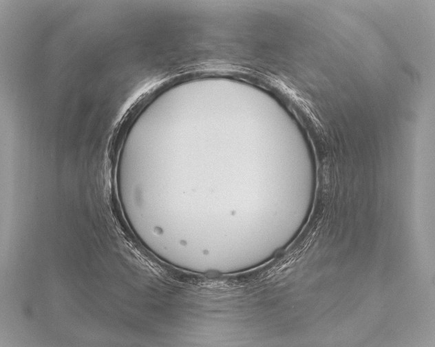 X0000115771408200912041422