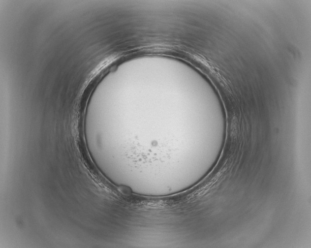 X0000115771410200912041422