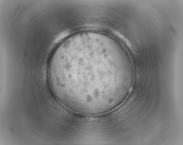 X0000115771411200912041422