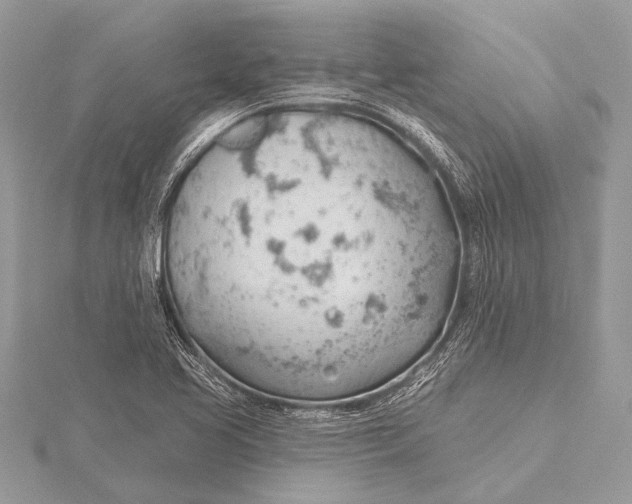 X0000115771413200912041422