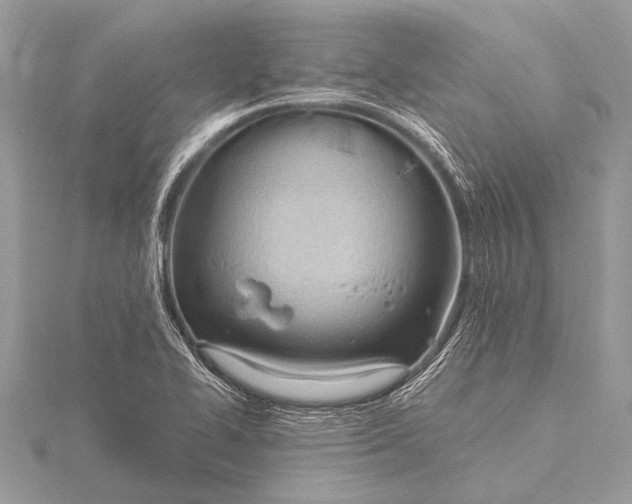 X0000115771414200912041422