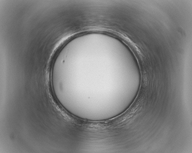 X0000115771416200912041422