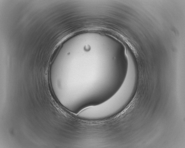 X0000115771417200912041422