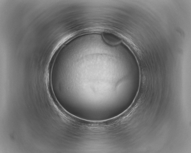 X0000115771418200912041422