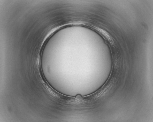 X0000115771420200912041422