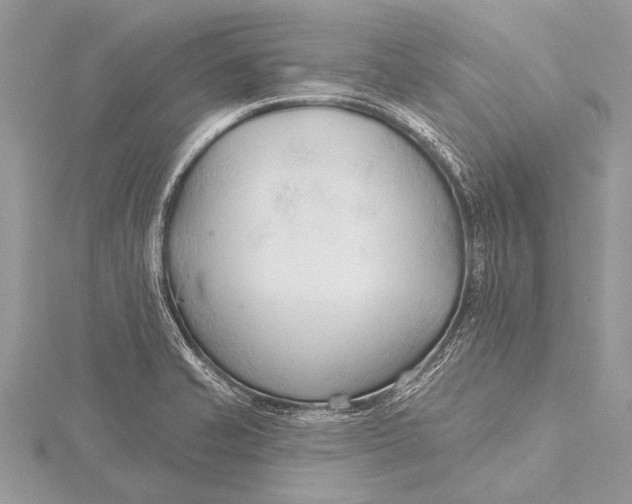 X0000115771421200912041422