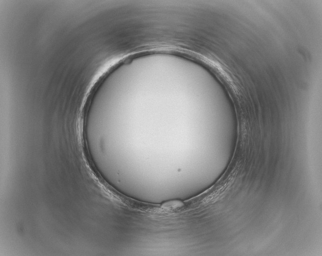 X0000115771424200912041422