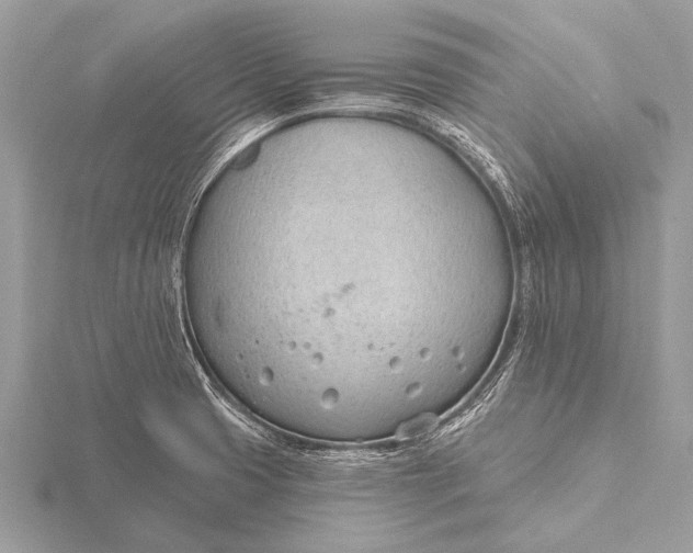 X0000115771425200912041422