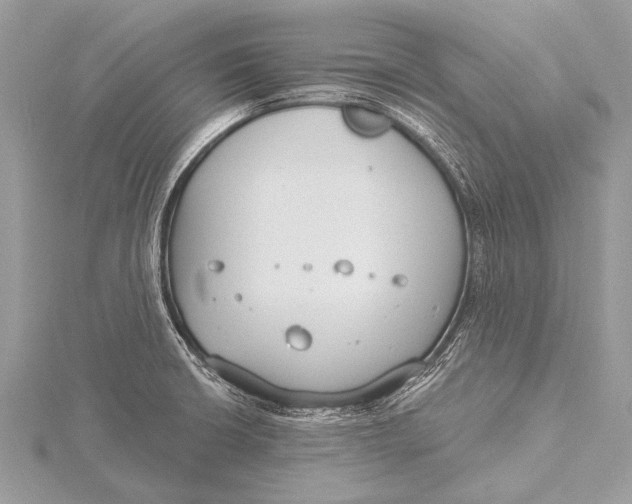 X0000115771426200912041422