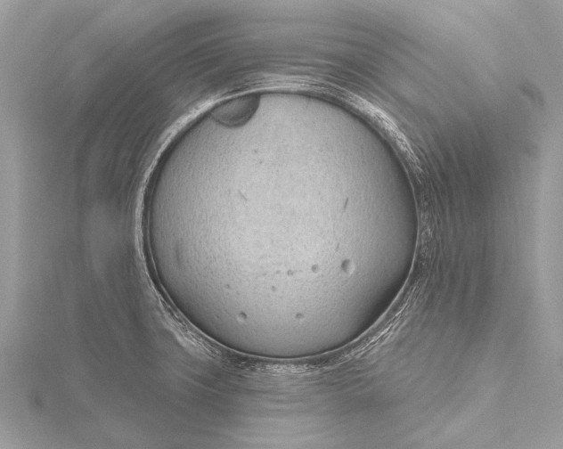 X0000115771427200912041422