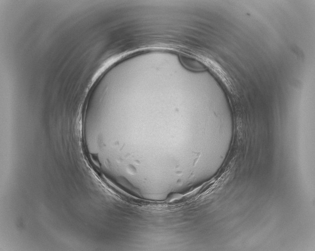 X0000115771428200912041422