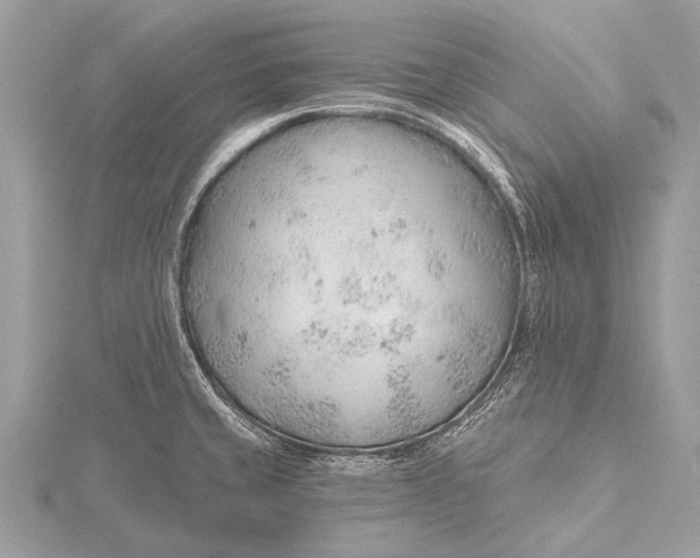 X0000115771429200912041422