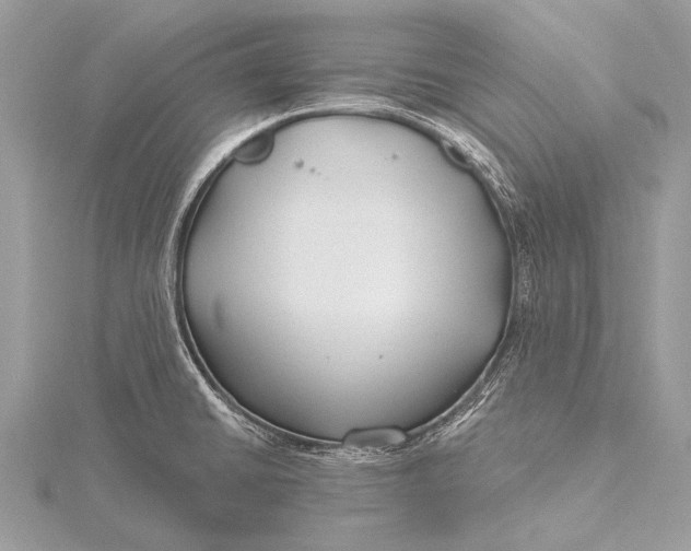 X0000115771430200912041422